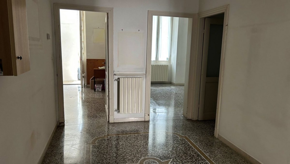 savona8